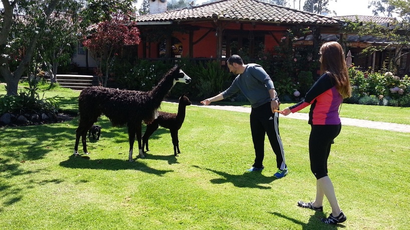 Imagen de los exteriores del Hotel Hacienda Jimenita Wildlife Reserve. Foto 11