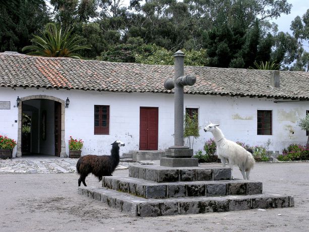 Imagen de los interiores del Hotel Hacienda La Ci&eacute;nega. Foto 15