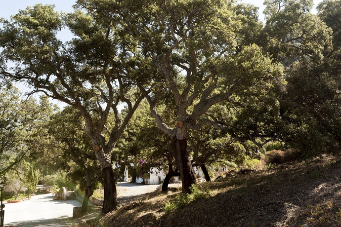 Imagen de los exteriores del Hotel Hacienda La Herriza. Foto 10