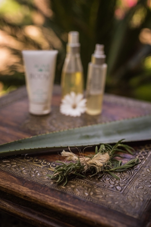 Imagen de los exteriores del Hotel Hacienda Labor De Rivera Boutique. Foto 15