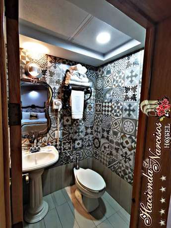 Imagen de la habitación del Hotel Hacienda Los Narcisos. Foto 10