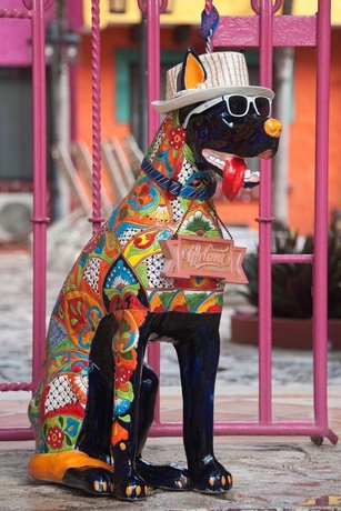 Imagen general del Hotel Hacienda Maria Bonita. Foto 14