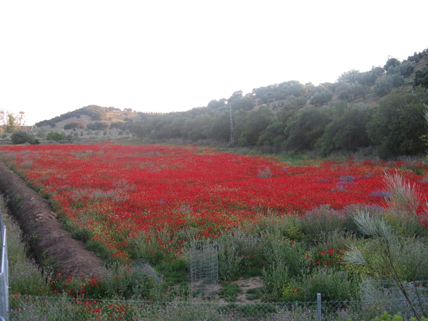 Imagen de los exteriores del Hotel Hacienda Mendoza. Foto 8