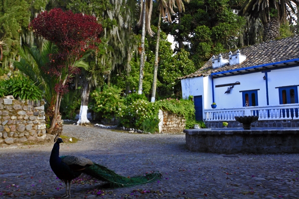 Imagen de los exteriores del Hotel Hacienda Pinsaqui. Foto 10