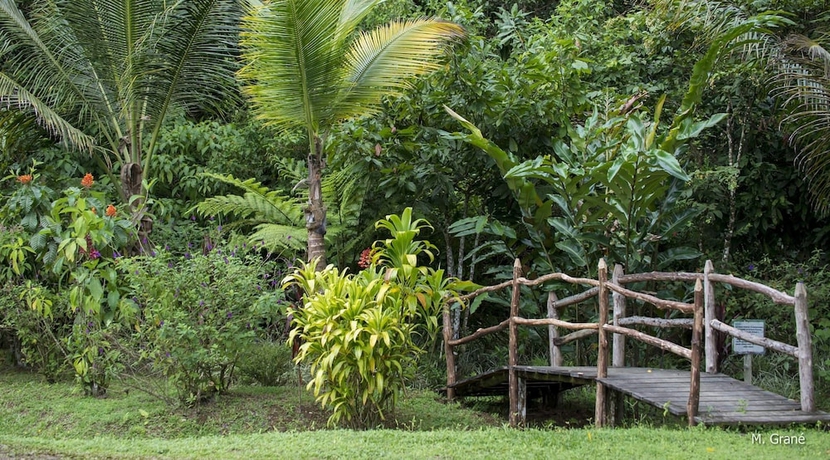 Imagen de los interiores del Hotel Hacienda Pozo Azul. Foto 19