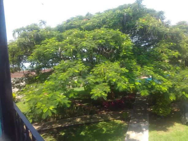 Imagen de los exteriores del Hotel Hacienda San Miguel, Tlayacapan. Foto 10