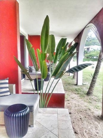 Imagen de la habitación del Hotel Hacienda San Pancho. Foto 13