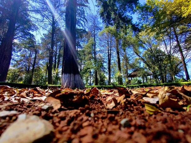 Imagen general del Hotel Hacienda Venta de Guadalupe. Foto 4