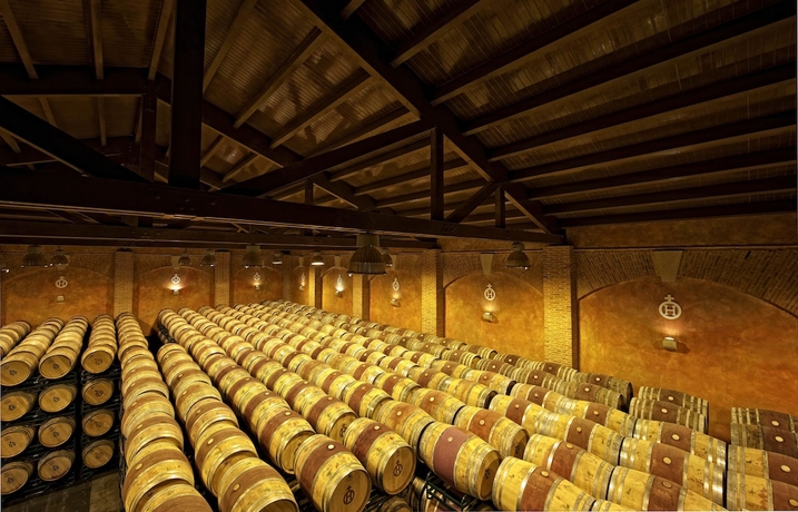 Imagen de los interiores del Hotel Hacienda Zorita Natural Reserve. Foto 17