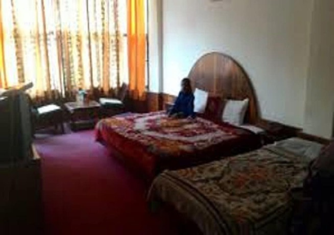 Imagen de la habitación del Hotel Hadimba Palace Manali. Foto 7