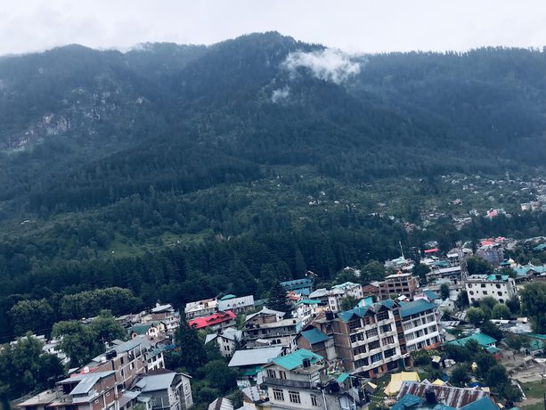 Imagen general del Hotel Hadimba Palace Manali. Foto 2