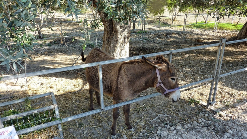 Imagen de los exteriores del Hotel Hadjios Valley. Foto 9