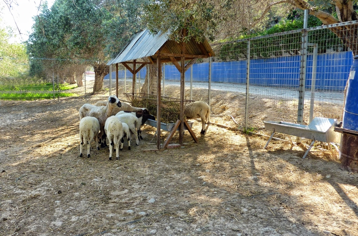 Imagen de los exteriores del Hotel Hadjios Valley. Foto 10