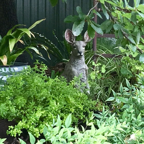 Imagen de los exteriores del Hotel Hahndorf Oak Tree Cottages. Foto 13