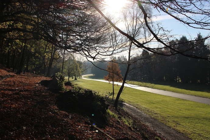 Imagen de los exteriores del Hotel Haigh Hall. Foto 13