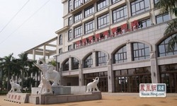 Imagen general del Hotel Hainan Yatai Hot-spring Hotel. Foto 1