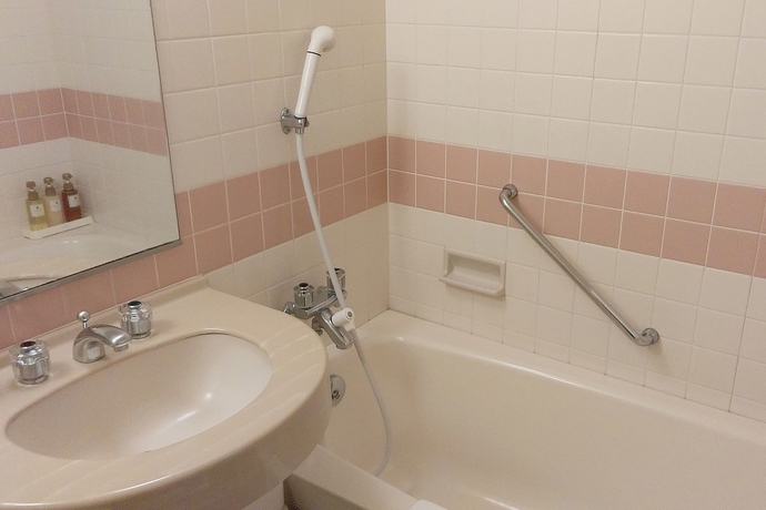 Imagen de la habitación del Hotel Hakodate Royal Seaside. Foto 13