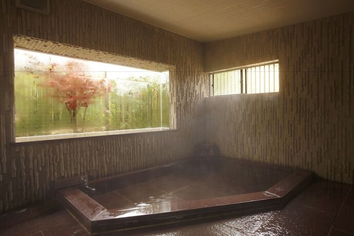 Imagen general del Hotel Hakone Fura. Foto 6