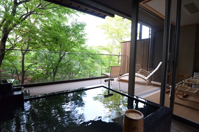 Imagen de la habitación del Hotel Hakone Gora Byakudan. Foto 9