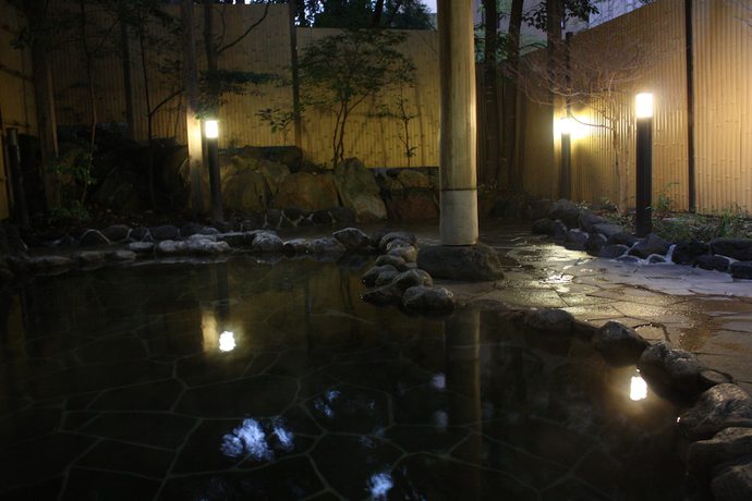 Imagen general del Hotel Hakone Gora Shinzan (Kisyu Tetsudo Hakone Gora Hotel). Foto 3