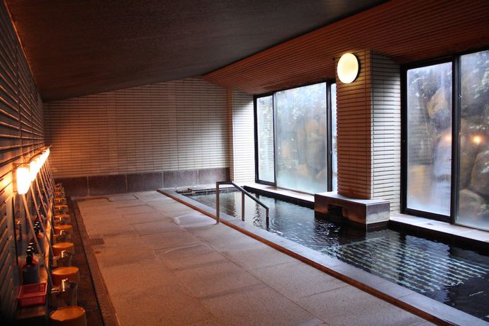 Imagen de la piscina del Hotel Hakone Gora Shinzan (Kisyu Tetsudo Hakone Gora Hotel). Foto 19