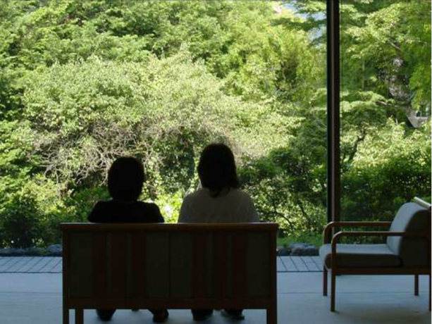Imagen de los interiores del Hotel Hakone Lalaca. Foto 6