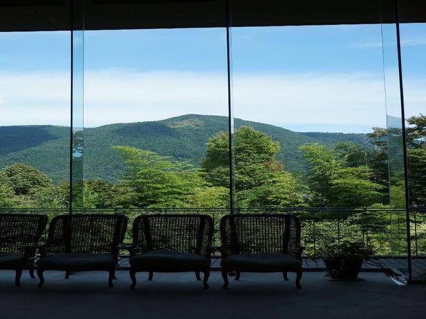 Imagen de los interiores del Hotel Hakone Lalaca. Foto 7