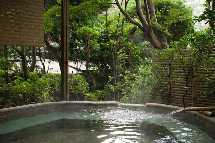 Imagen general del Hotel Hakone Oku-Yugawara Tsubaki. Foto 19