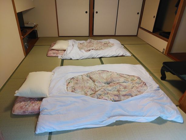 Imagen de la habitación del Hotel Hakone Pax Yoshino. Foto 12