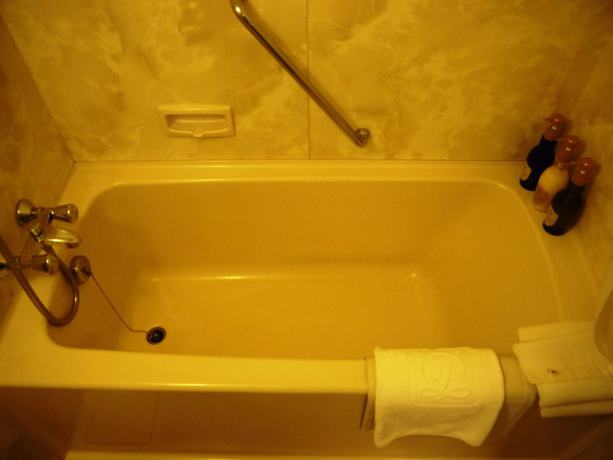 Imagen de la habitación del Hotel Hakone Sengokuhara Prince. Foto 9