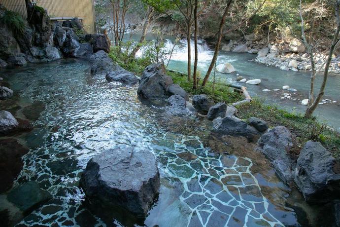 Imagen general del Hotel Hakone Shiunso. Foto 7