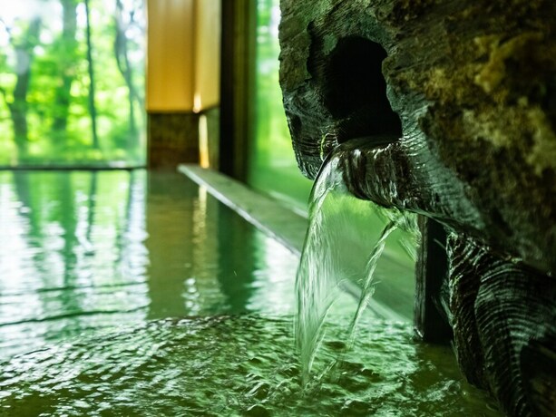 Imagen general del Hotel Hakoneonsen Sanso Nakamura. Foto 6