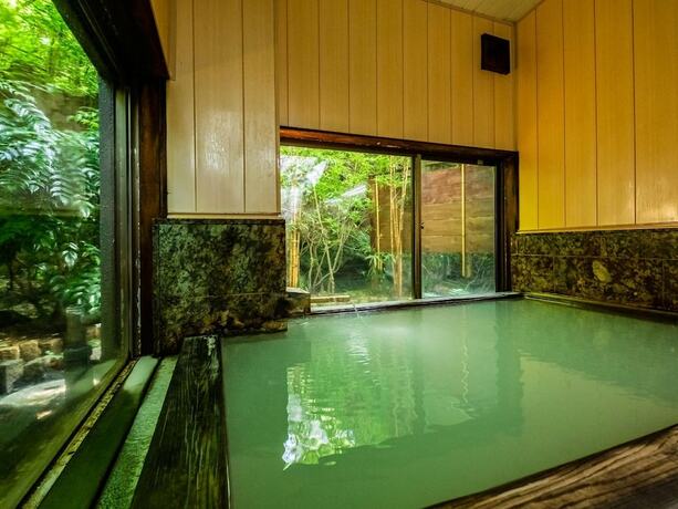 Imagen general del Hotel Hakoneonsen Sanso Nakamura. Foto 8