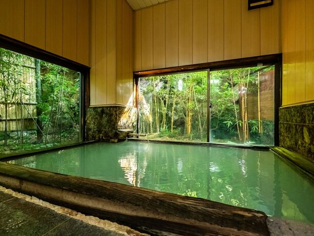 Imagen general del Hotel Hakoneonsen Sanso Nakamura. Foto 2