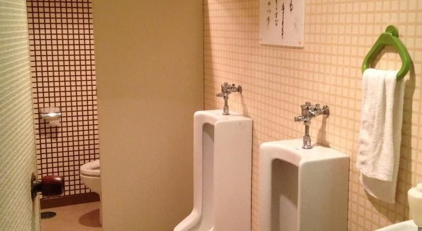 Imagen de la habitación del Hotel Hakoneonsen Sanso Nakamura. Foto 22