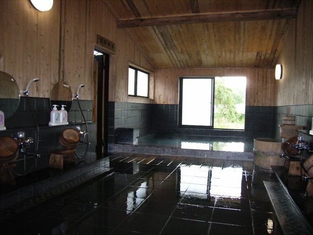 Imagen general del Hotel Hakuba Alpine, Hakuba. Foto 5