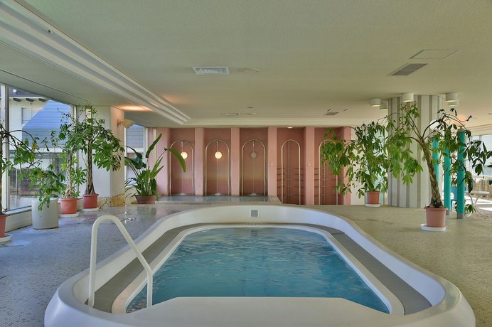 Imagen de la piscina del Hotel Hakuba Alps Hotel. Foto 15