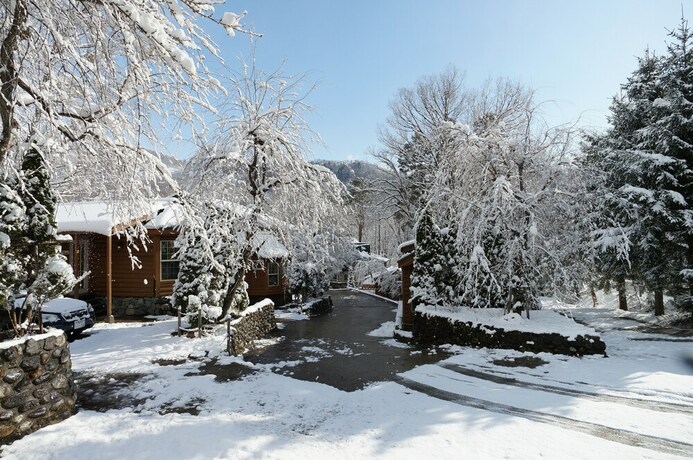 Imagen de los interiores del Hotel Hakuba Canadian Lodge. Foto 34