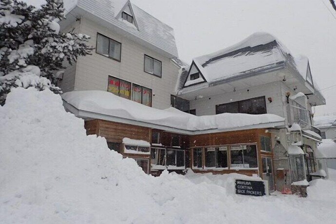 Imagen general del Hotel Hakuba Cortina Lodge. Foto 1