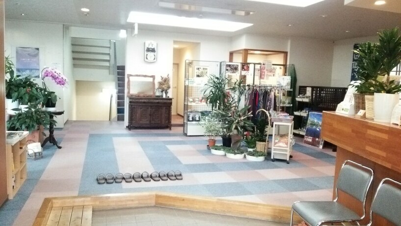 Imagen de los interiores del Hotel Hakuba Hana No Sato. Foto 29