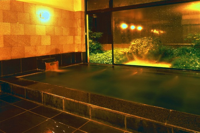 Imagen de la piscina del Hotel Hakuba Ougiya. Foto 16