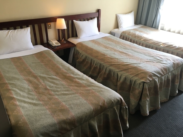Imagen de la habitación del Hotel Hakuba Paipu No Kemuri. Foto 4