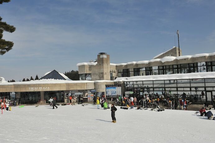 Imagen general del Hotel Hakuba Park. Foto 6