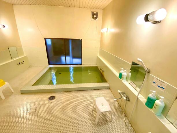 Imagen general del Hotel Hakuba Park. Foto 11