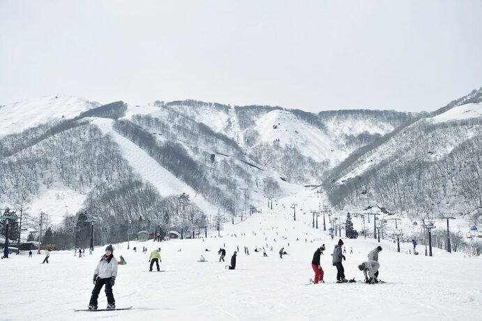 Imagen general del Hotel Hakuba Park. Foto 13