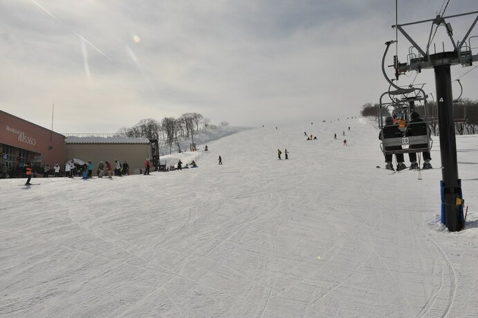 Imagen general del Hotel Hakuba Park. Foto 14