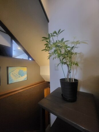 Imagen general del Hotel Hakuba Powder Lodge. Foto 16