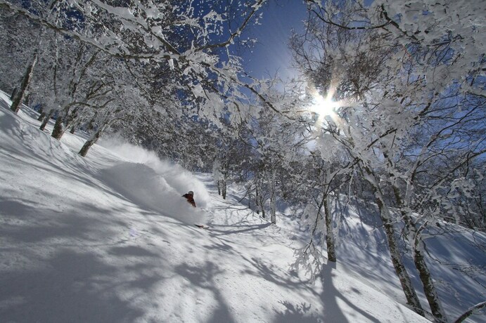 Imagen de los exteriores del Hotel Hakuba Powder Lodge. Foto 26