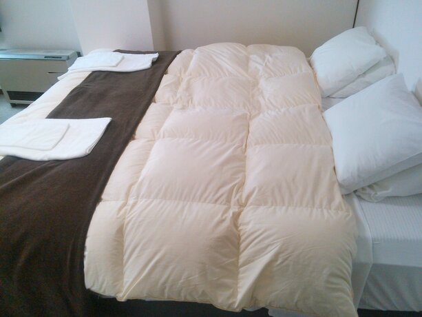 Imagen general del Hotel Hakuba Ski Condos. Foto 8