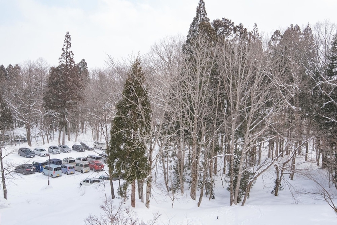Imagen de la habitación del Hotel Hakuba Tokyu. Foto 13
